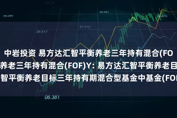 中岩投资 易方达汇智平衡养老三年持有混合(FOF)A,易方达汇智平衡养老三年持有混合(FOF)Y: 易方达汇智平衡养老目标三年持有期混合型基金中基金(FOF)风险揭示书