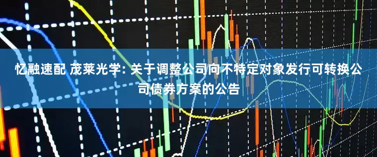忆融速配 茂莱光学: 关于调整公司向不特定对象发行可转换公司债券方案的公告