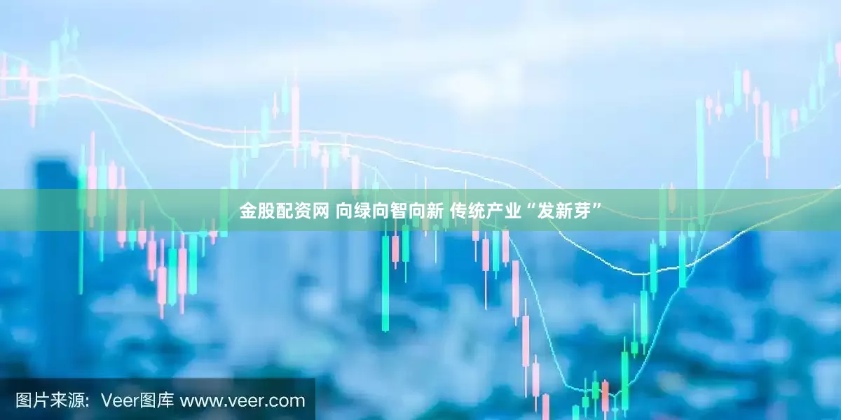 金股配资网 向绿向智向新 传统产业“发新芽”