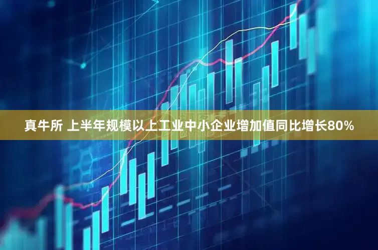 真牛所 上半年规模以上工业中小企业增加值同比增长80%