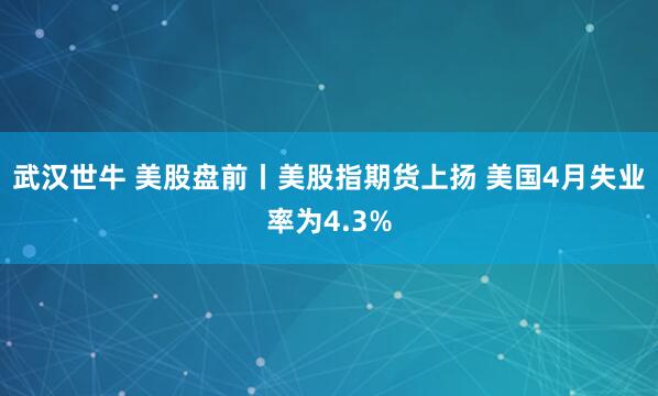 武汉世牛 美股盘前丨美股指期货上扬 美国4月失业率为4.3%